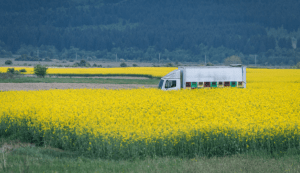 truck in the field